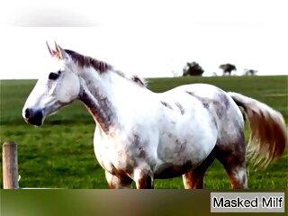 Horny Mummy takes giant pony cock dildo compilation | Masked Mummy