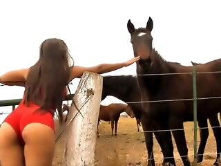 The Hot Lady Horse Whisperer - Extraordinaire Body Latina! 10  Ass!